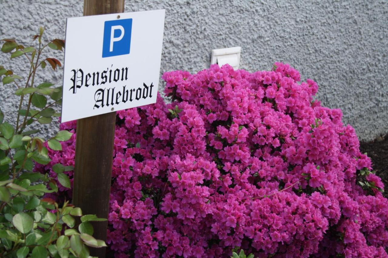 Pension / Ferienwohnung Allebrodt Lennestadt Eksteriør bilde