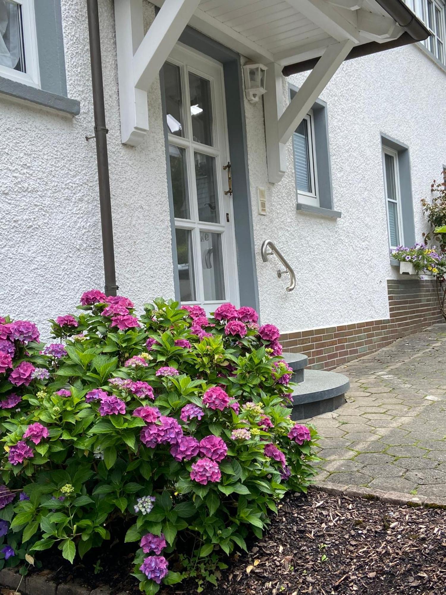 Pension / Ferienwohnung Allebrodt Lennestadt Eksteriør bilde